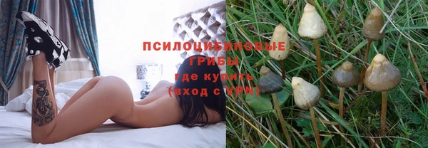эйфоретик Россошь