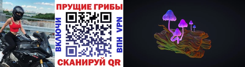 закладка  Агрыз  Псилоцибиновые грибы GOLDEN TEACHER 